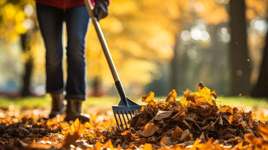 Bladeren in de tuin? Herfstbladeren in je tuin gebruiken