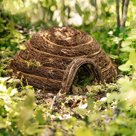 Hier vind je dierenbehuizingen en voederstations voor je natuurlijke tuin