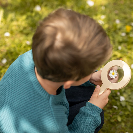 Scorch elegant Voorlopige ▷ Houten en ecologisch speelgoed voor kinderen ontdekken | Waschbär Eco-Shop